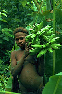Korowaifrau bringt Bananen zum grillen